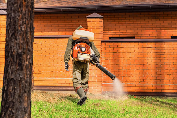 Top rated local Wasp Removal specialists in Reading, PA